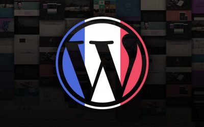 Guide : choisir le bon thème WordPress pour éviter les mauvaises surprises