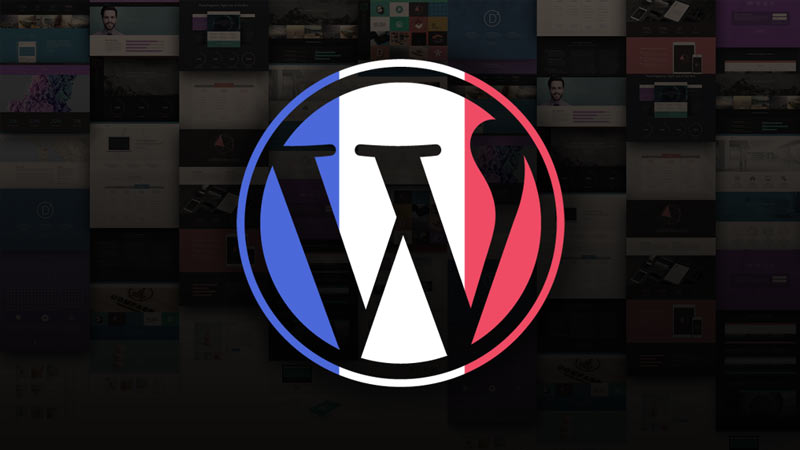 choisir un bon thème Wordpress en français