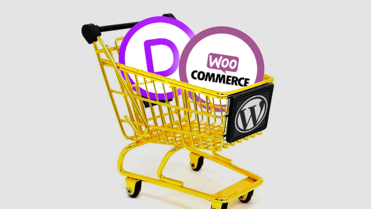 Creer Un Site E Commerce Avec Divi Et Woocommerce Le Guide Complet